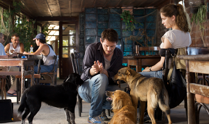 �� ���� ���� �������� ��������